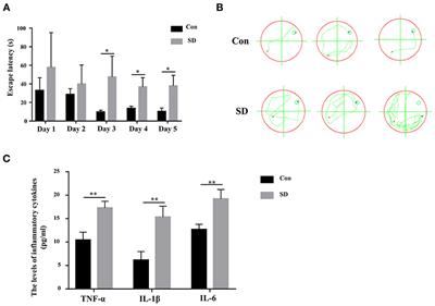 Sleep Deprivation Induces Cognitive Impairment by Increasing Blood-Brain Barrier Permeability via CD44